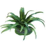 REP19002 Террариумное растение Алоэ 20см