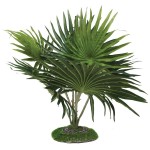 REP5200 Террариумное растение Веерная пальма 52см