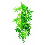 TP003-20 Растение для террариума 50см